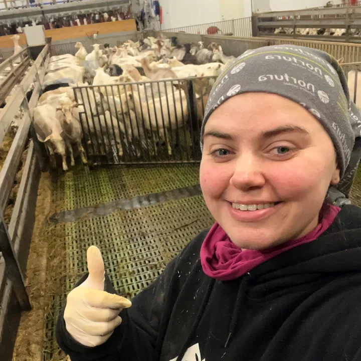 The Norwegian goat farmer