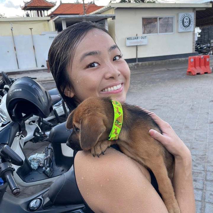 amelia | travel & lifestyle 🫶