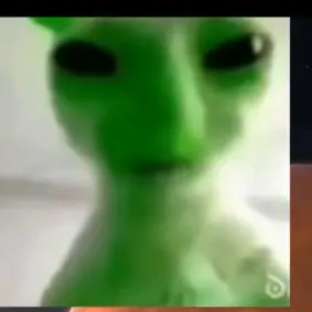 tadeo2412🗿🖕🏿