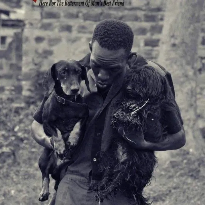 Abrahamz the dog trainer
