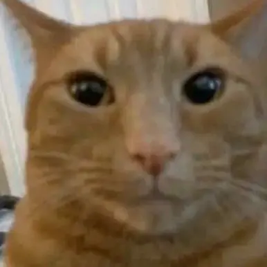 Roiero