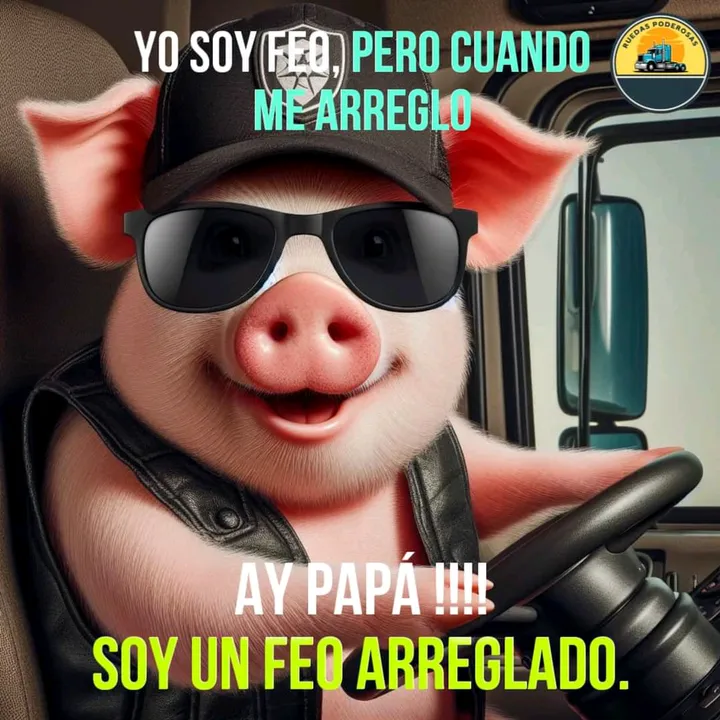 latinoslatin