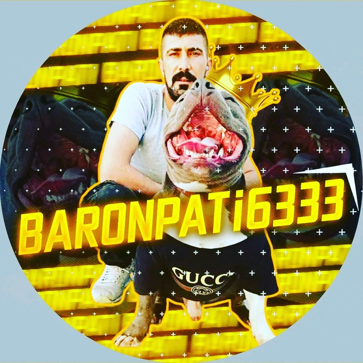 BARONPATİ3333☑️