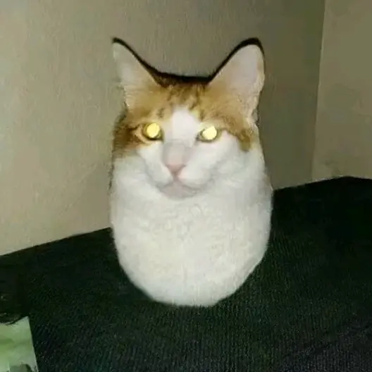 IdkSanta 🥚