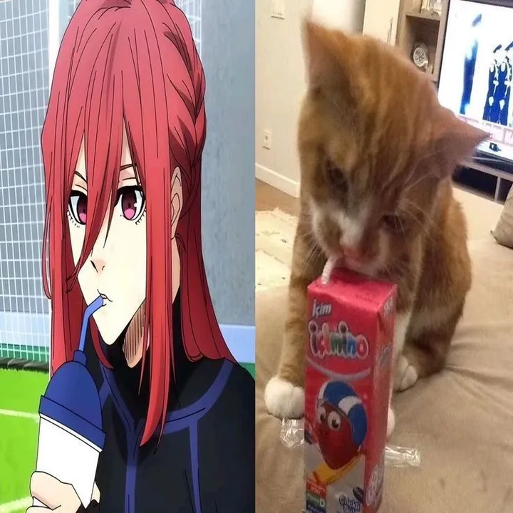 Nicaa!!