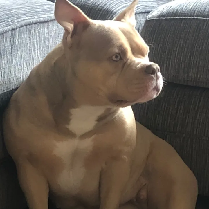 The.celtichiker 🥾 🏕️