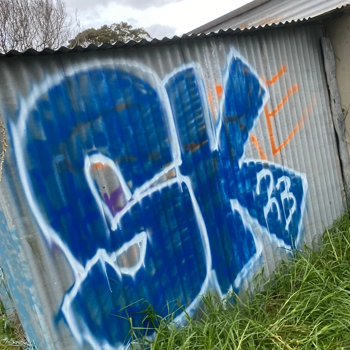 snork-crew
