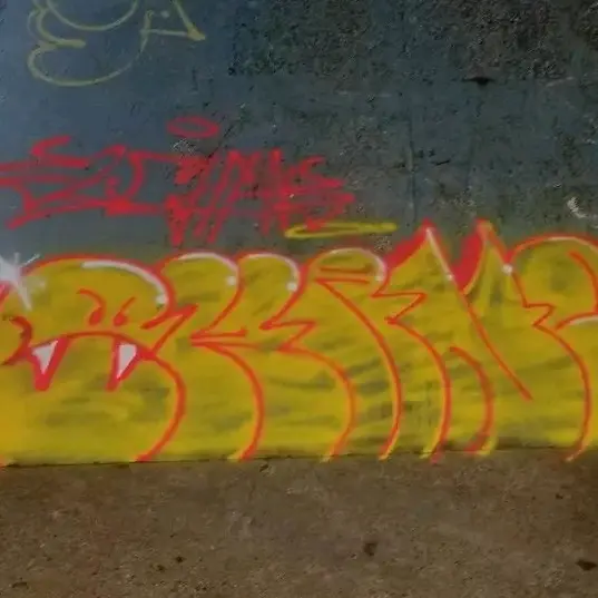 diego_sk8