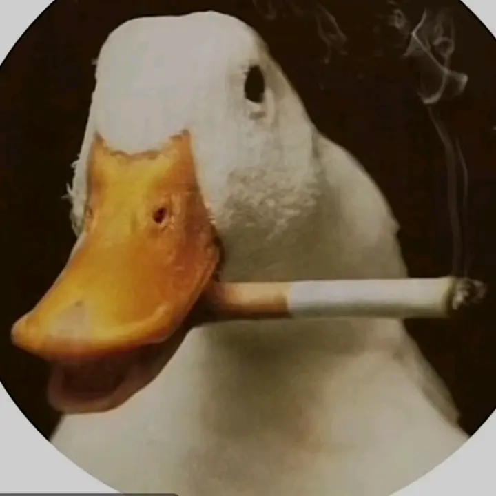 ☣︎𓆏