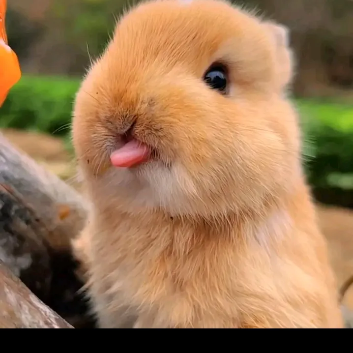 Qasim Mia981🇵🇰🇧🇭