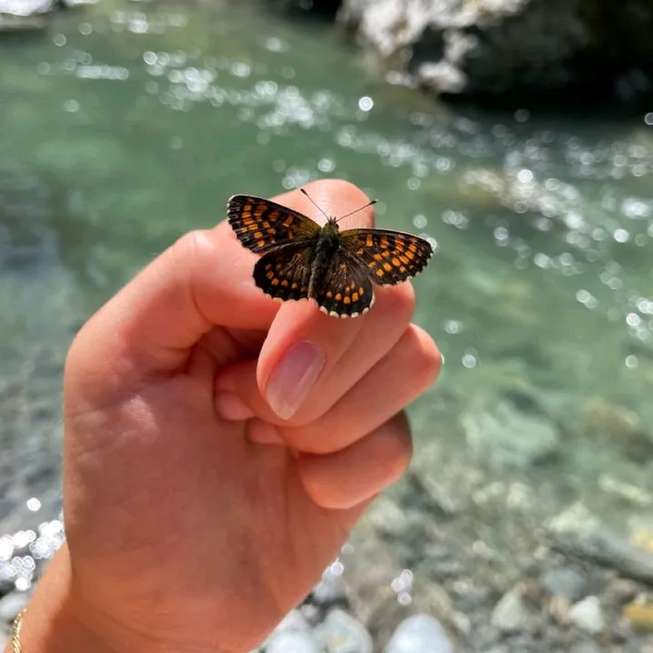 𝙖𝙧𝙮𝙖𝙣 🦋