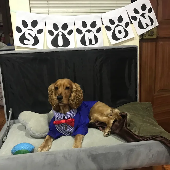 Fiorella Milagros Contreras