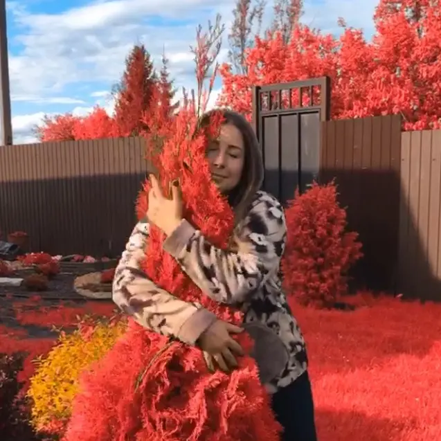 Дача Мечты🏡