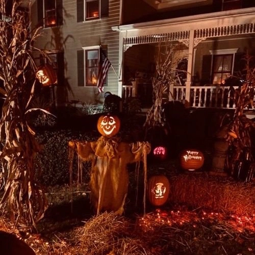 🎃👻🕸️💀♡𝓝𝓪𝓽♡💀🕸️👻🎃