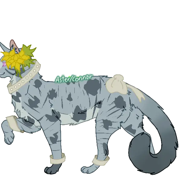 𝐵𝑒𝑟𝑟𝑦🖤