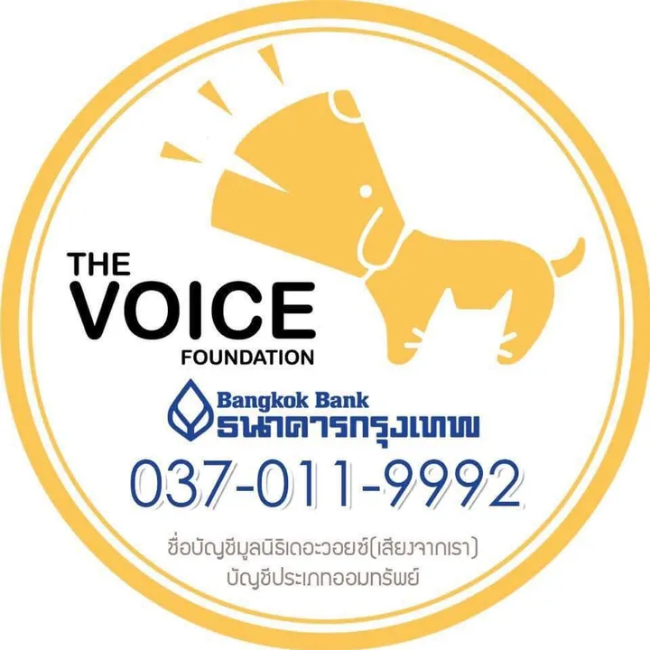 มูลนิธิเดอะวอยซ์ เสียงจากเรา