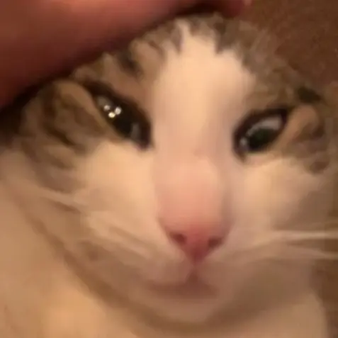 sniggus