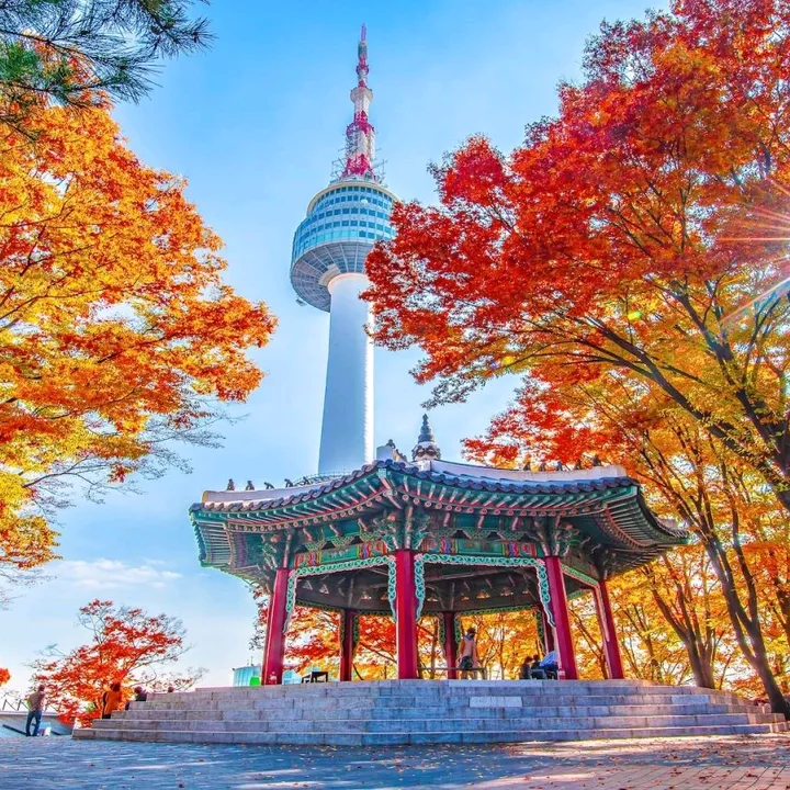 배 문 일