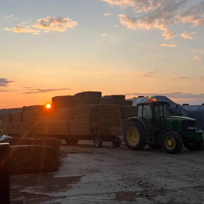 Farms boys🤘🏻🌾