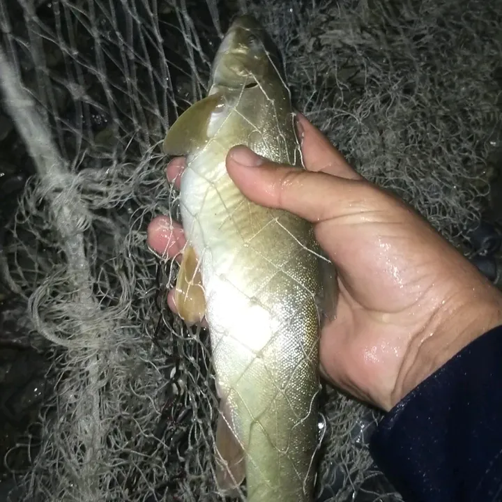 its Fishing time 1.0