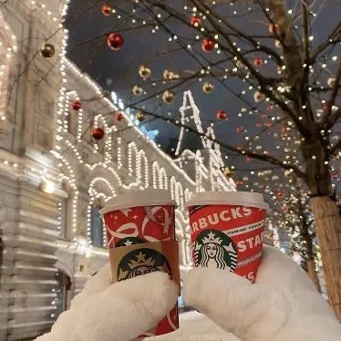 — 1.2k 🐾🎄