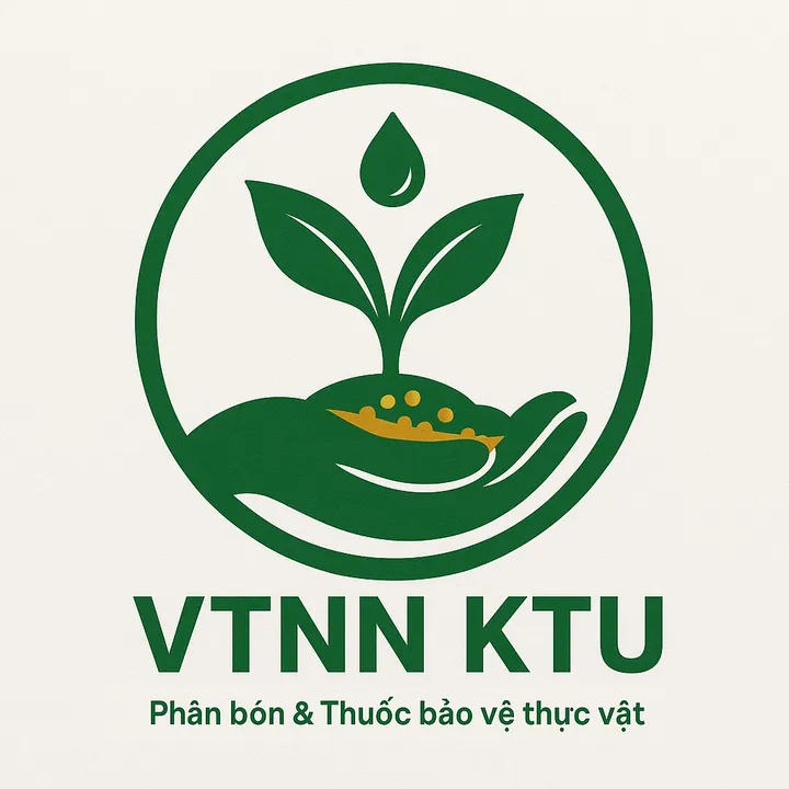 VTNN KTU