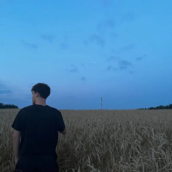 ᴘʜᴇɴᴏᴍᴇɴʟʏ