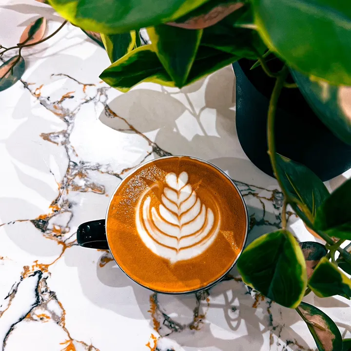 🌺YourBaristaMush🥀