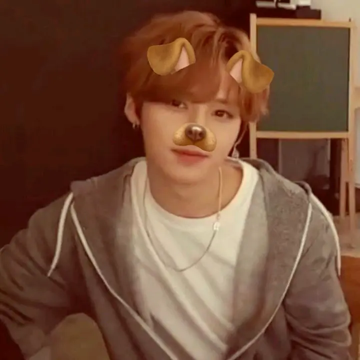 pongan skz