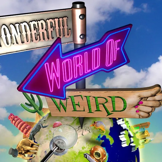 WholeWideWorld