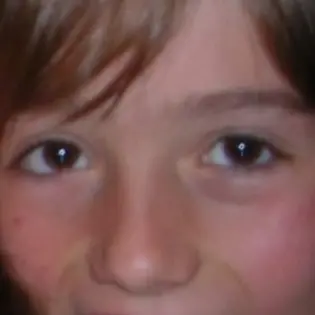 brice