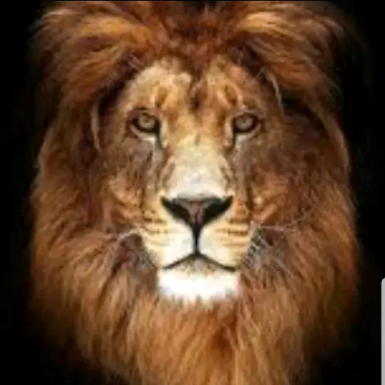 ሰብ እንታይ ዘይበለ🙃🤣