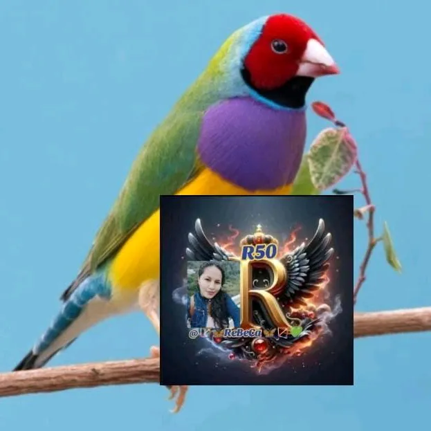 🏹🦋ReBeCa🦋🏹💚
