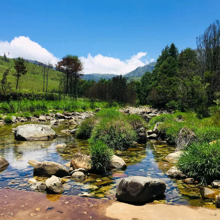 ZimGuy▪︎🇿🇼