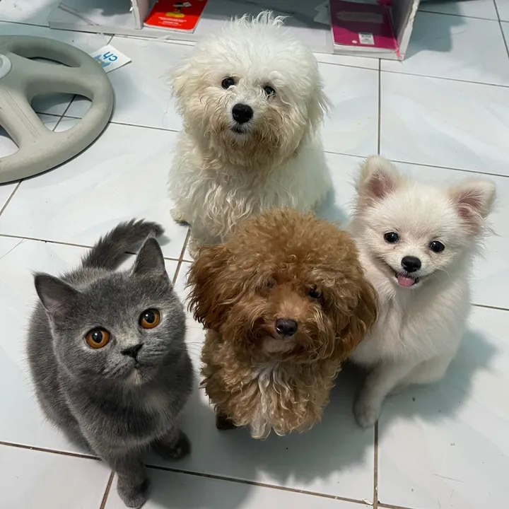 Kimchi, Enoki & Mom ❤️