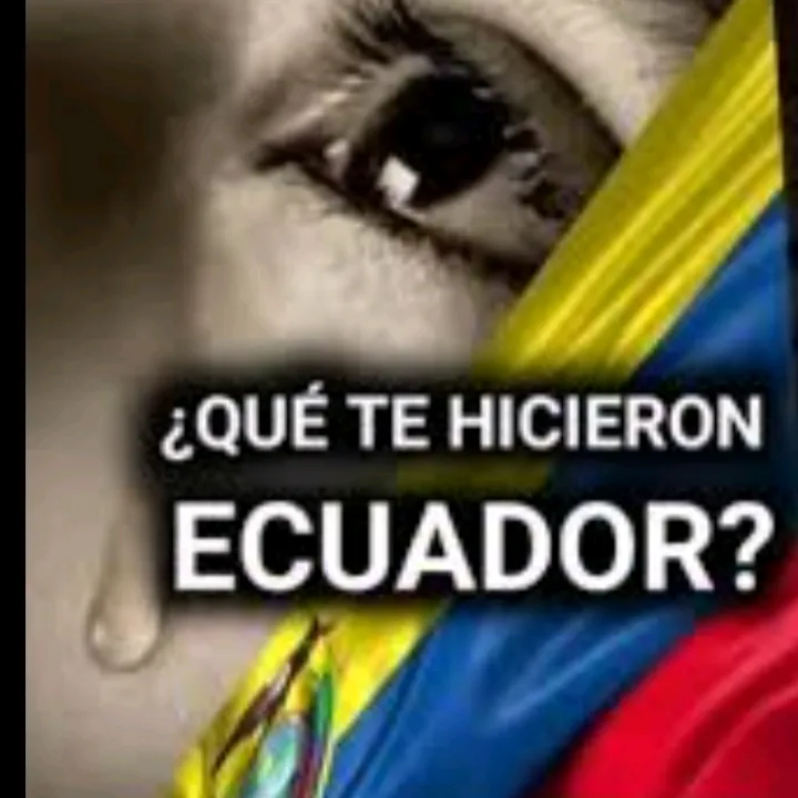 El Michi Zeus