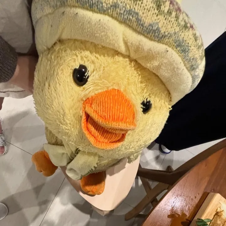 🐥