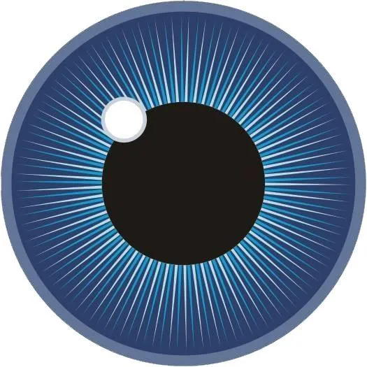 North Peace Optometry Clinic
