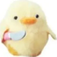 Felpingg