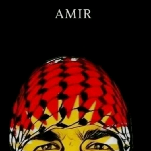 amerjual