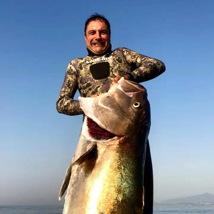 Vinx_spearfishing