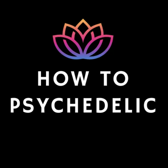 Psychedelic Integration Coach