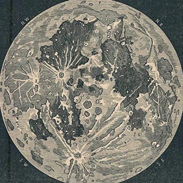 Venus ೃ⁀➷