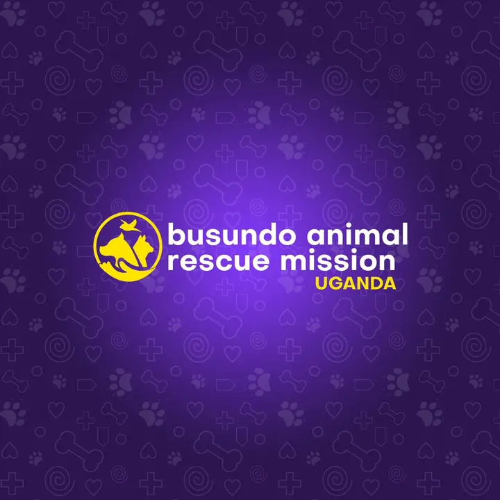 BUSUNDO ANIMAL RESCUE MISSION