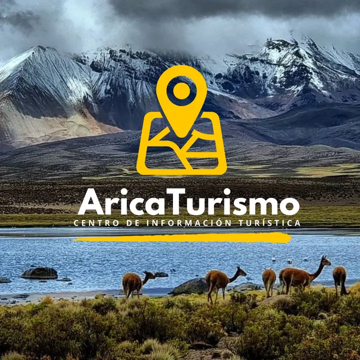 Arica Turismo