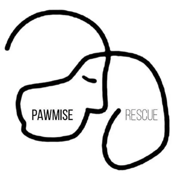 Pawmise Rescue Qatar