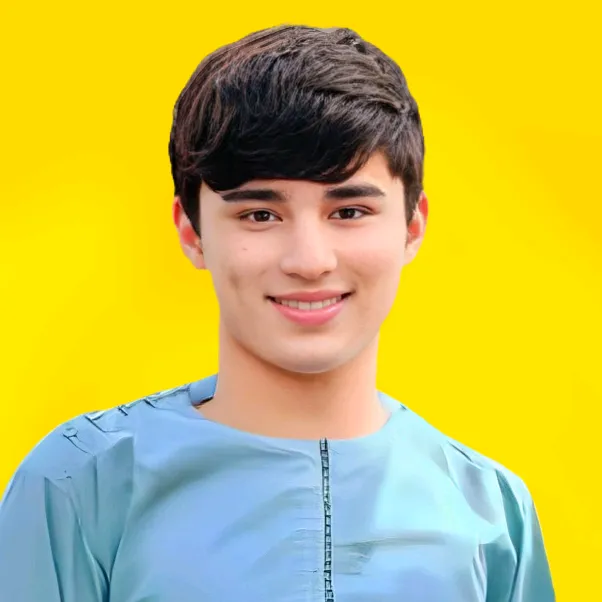 زینت صدیقی