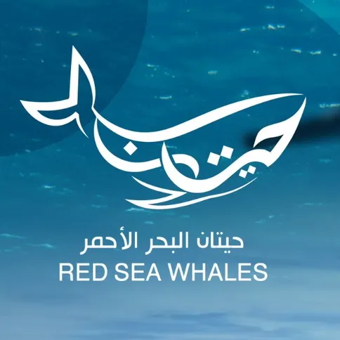Redsea Whales