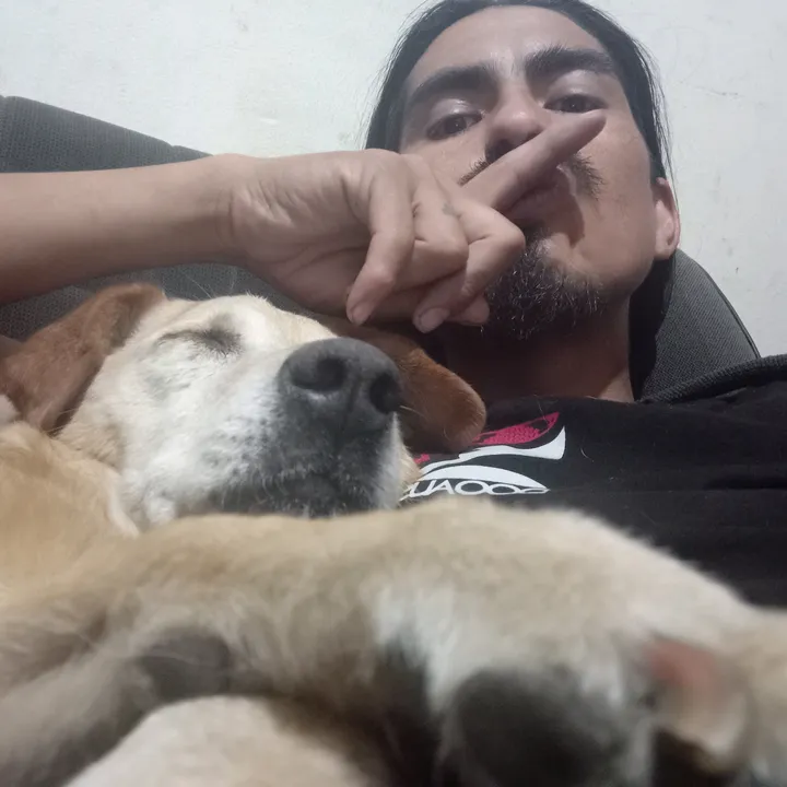 the har👽lds🤙🏻✌🏻🐶