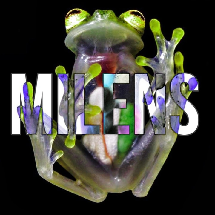MILENS